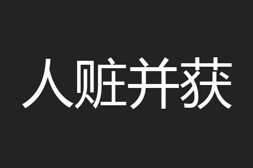 人赃并获
