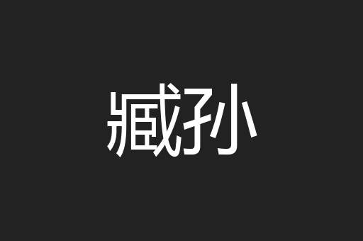 臧孙