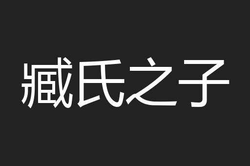 臧氏之子
