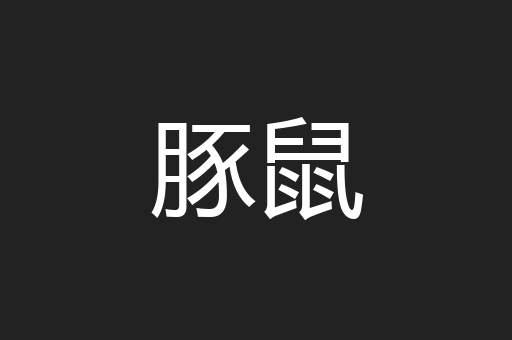 豚鼠