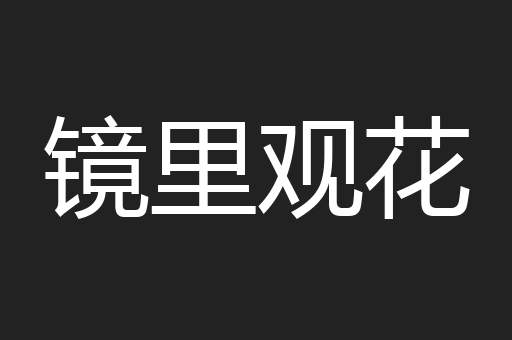 镜里观花