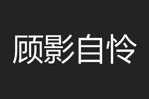顾影自怜