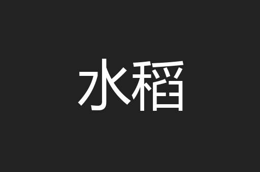 水稻