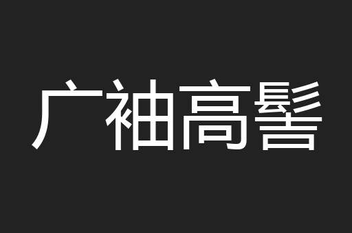广袖高髻