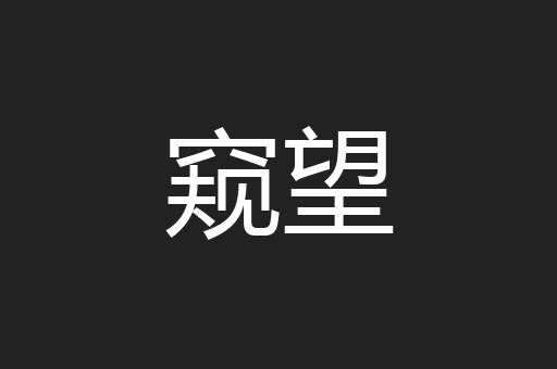 窥望