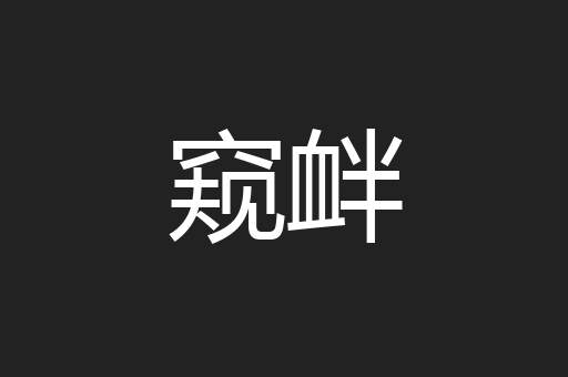窥衅
