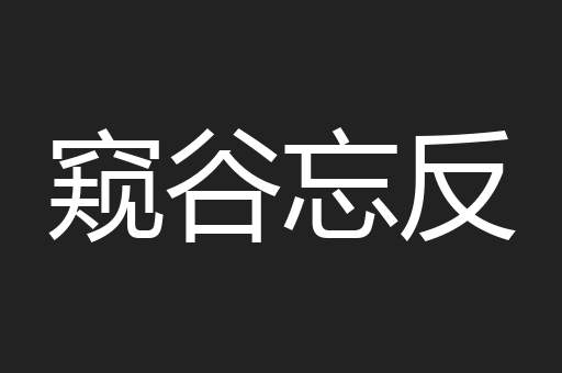 窥谷忘反