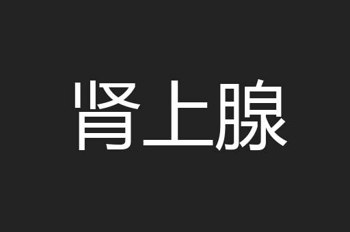 肾上腺