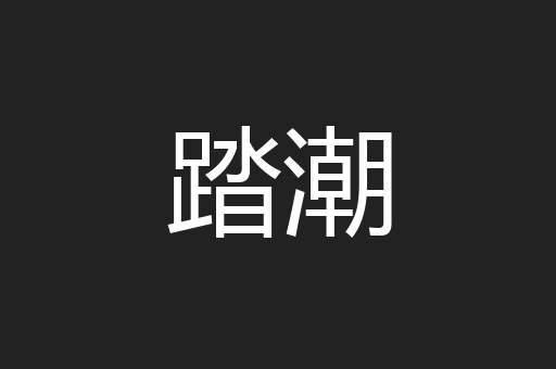 踏潮