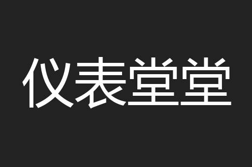 仪表堂堂
