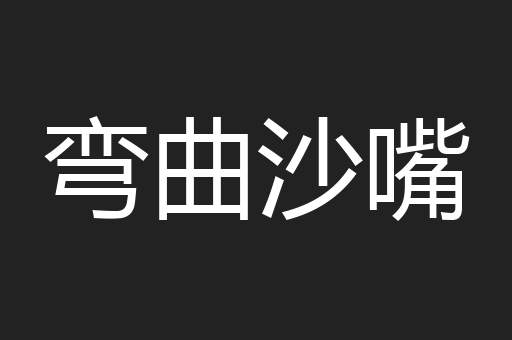 弯曲沙嘴