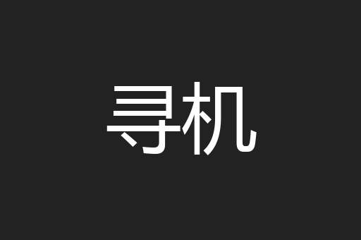 寻机