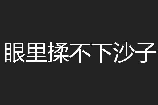 眼里揉不下沙子