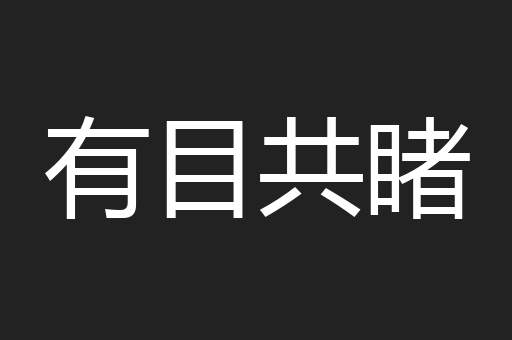 有目共睹