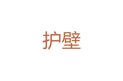 吸盘