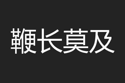 鞭长莫及
