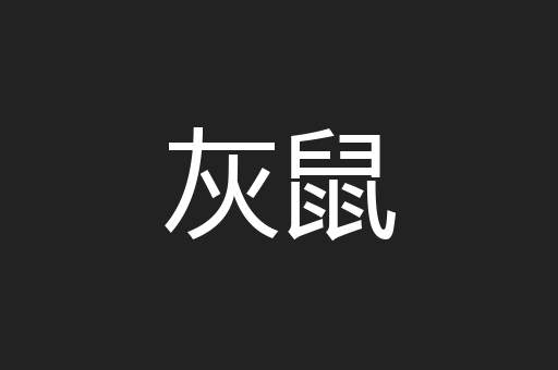 灰鼠