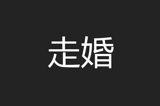 走婚