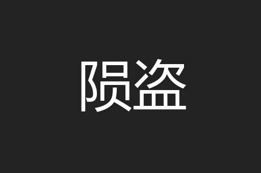 陨盗
