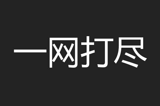 一网打尽