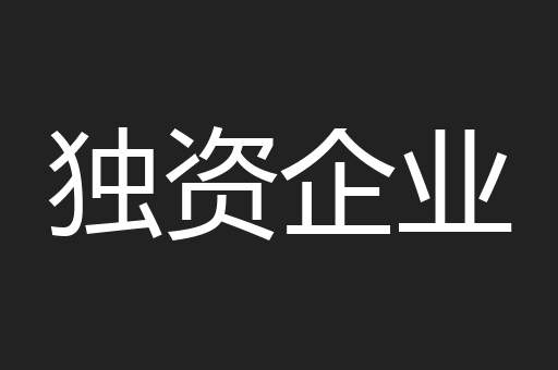 独资企业