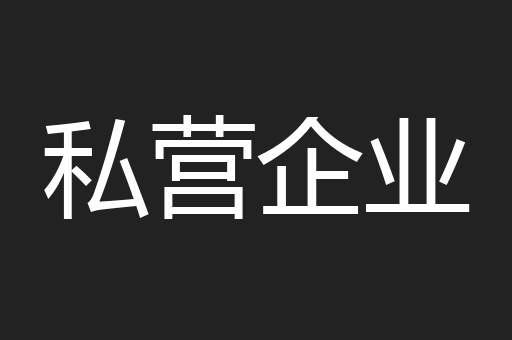 私营企业