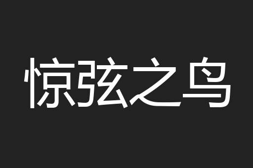 惊弦之鸟