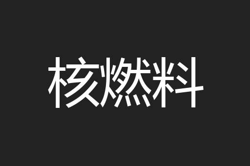 核燃料