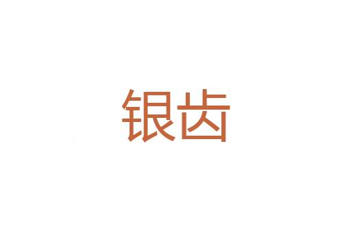 老前辈