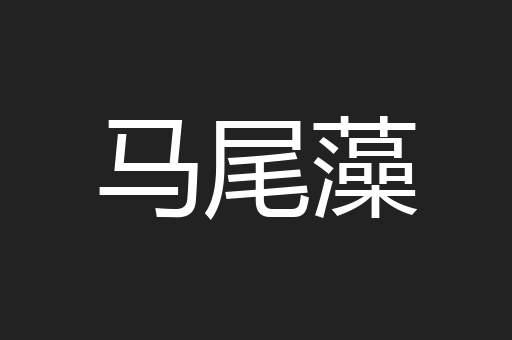 马尾藻