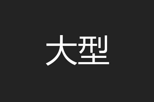 大型