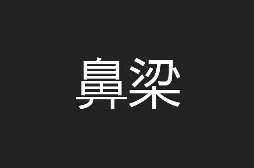 鼻梁