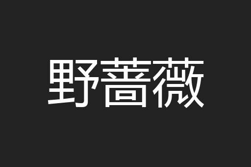 野蔷薇