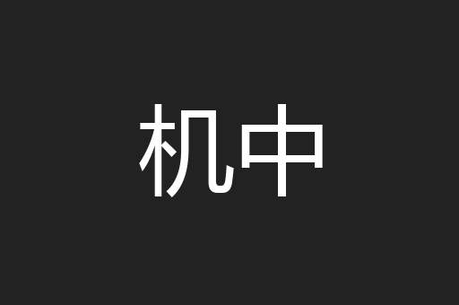 机中