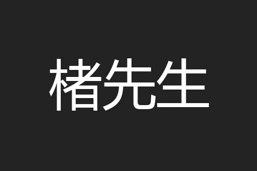 楮先生