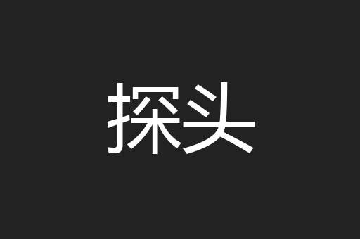 探头