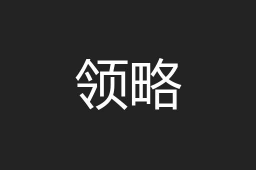 领略