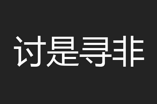 讨是寻非