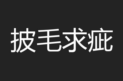 披毛求疵