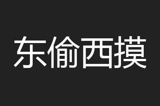 东偷西摸