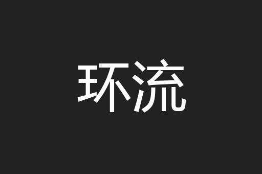 环流