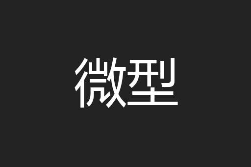 微型