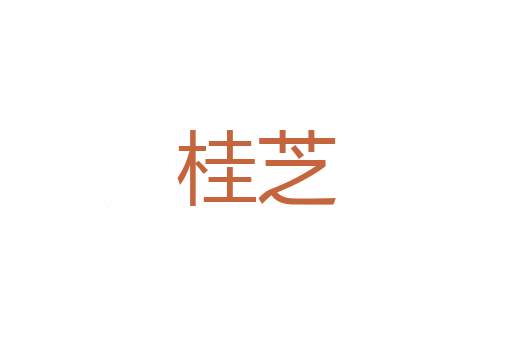 明月入怀