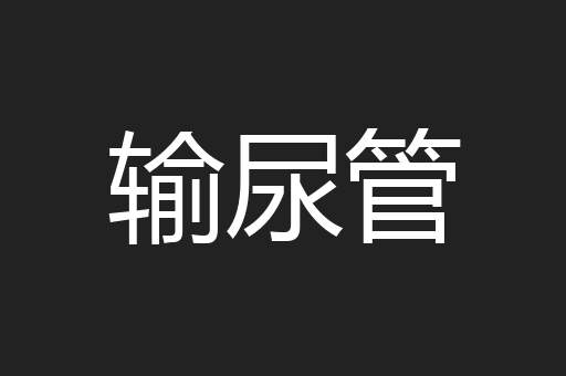 输尿管