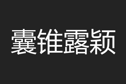 囊锥露颖