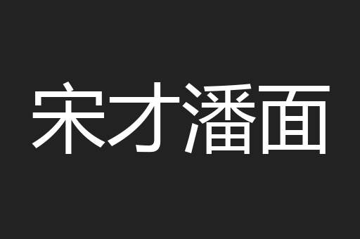 宋才潘面