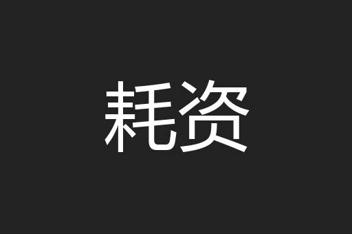 耗资