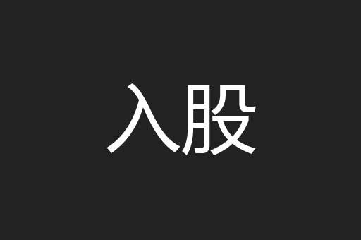 入股