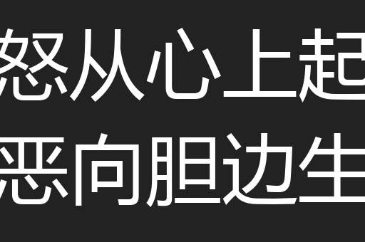怒从心上起恶向胆边生
