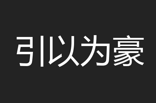 引以为豪